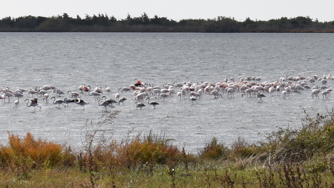 Photo of Outdoor in Notos