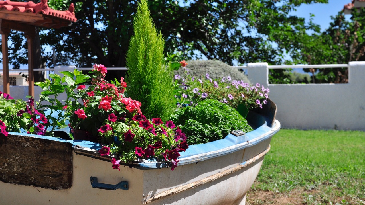 Photo of Outdoor in Velon