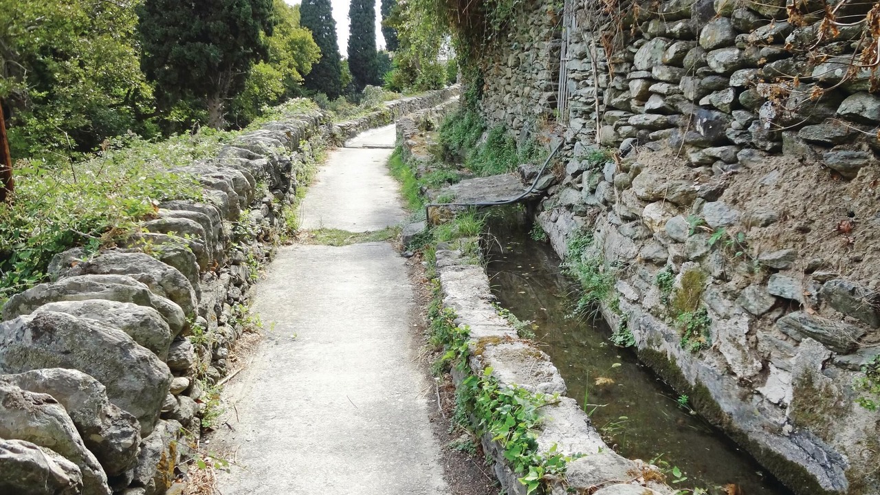 Photo of Outdoor in Steniai