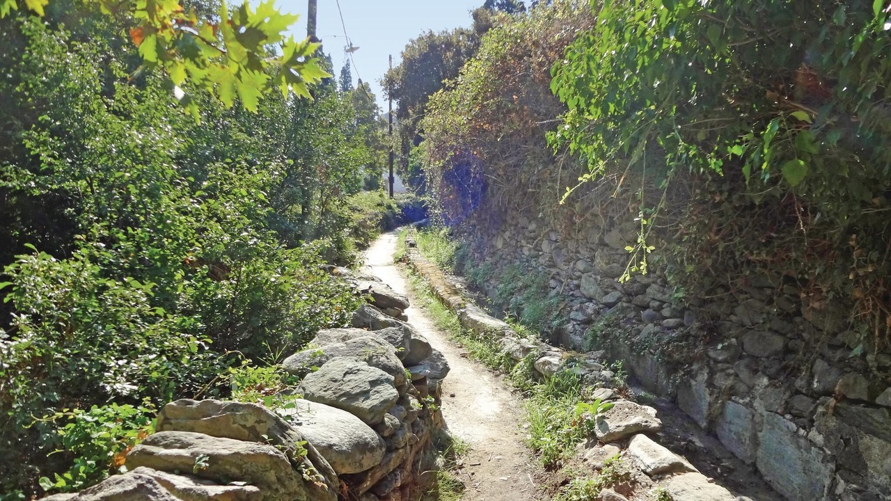 Photo of Outdoor in Steniai