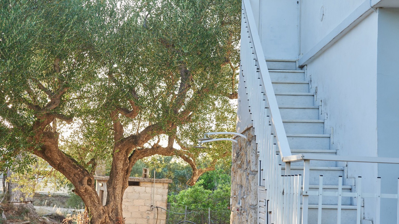 Photo of Outdoor in Drosia