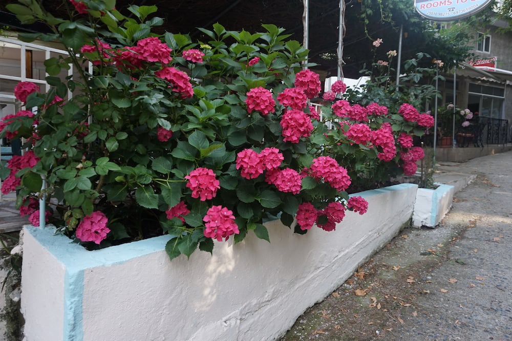 Photo of Outdoor in Therma