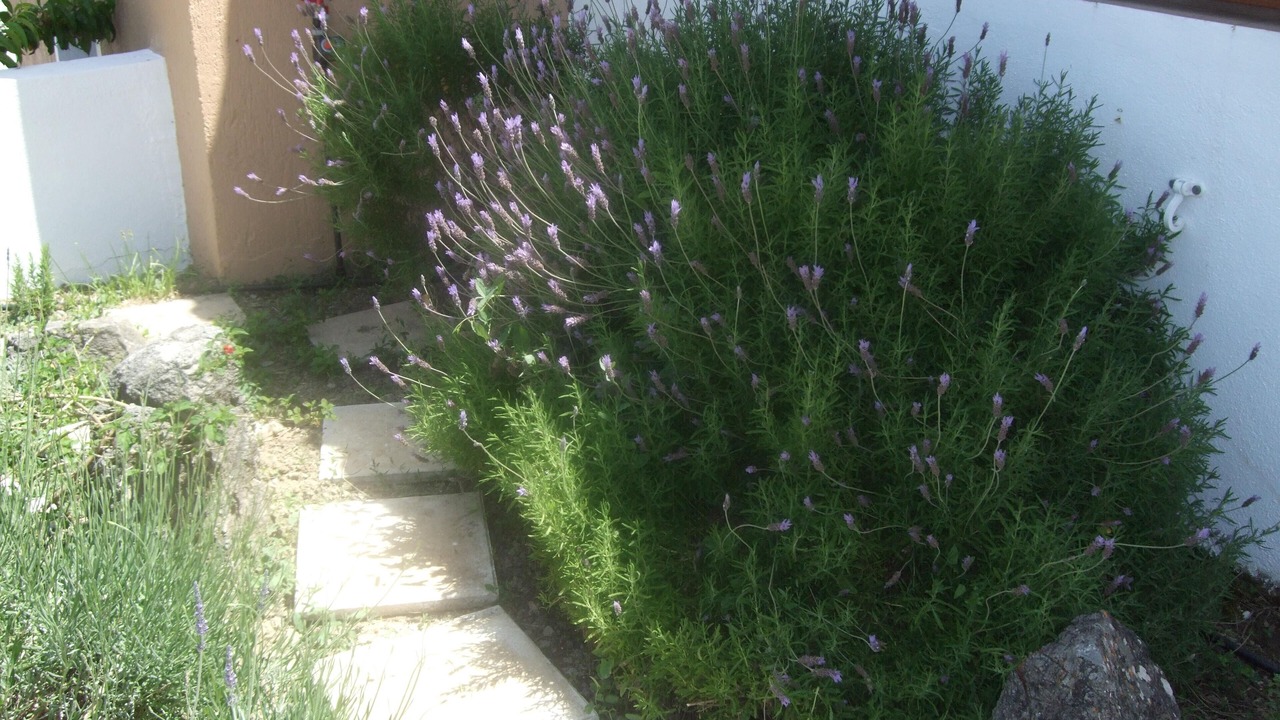 Photo of Outdoor in Amarion