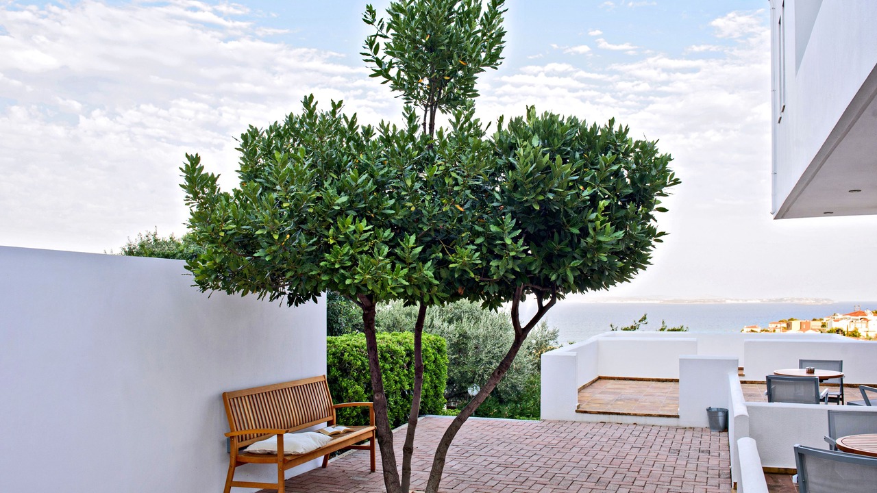 Photo of Patio Balcony in Karfas