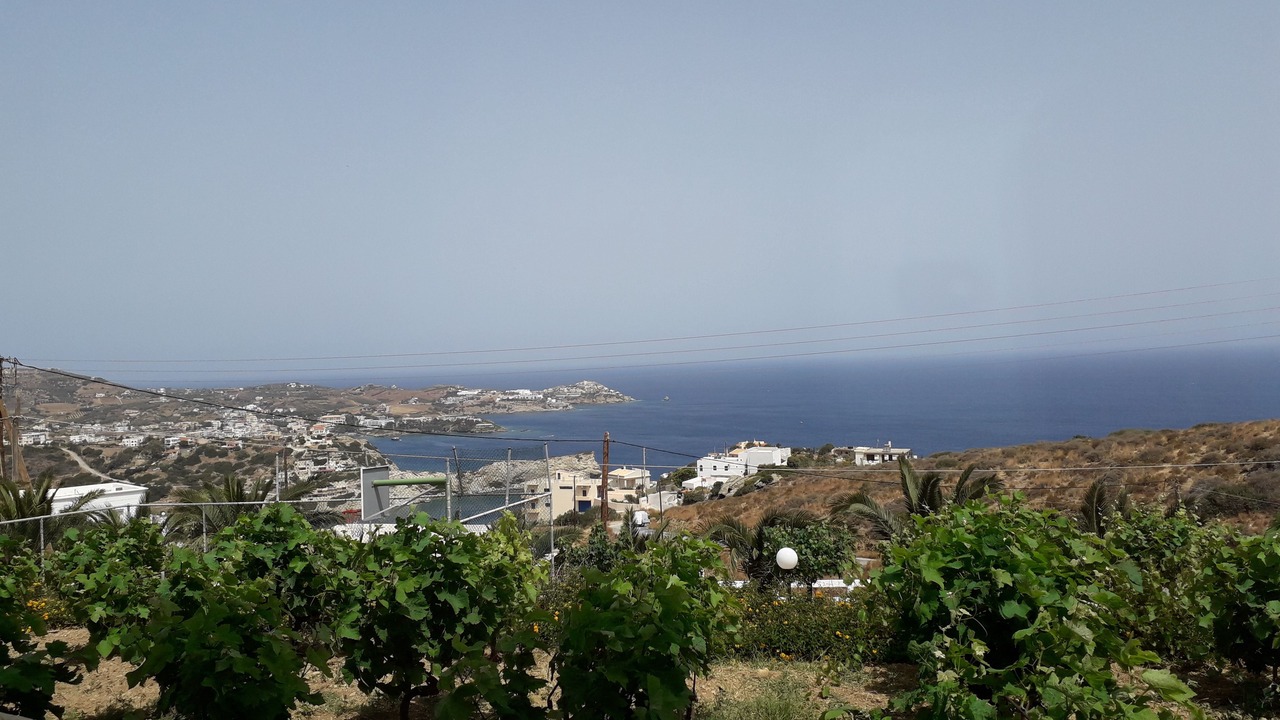 Photo of Others in Lygaria