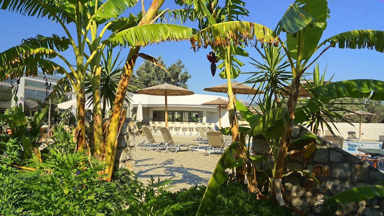 Photo of Outdoor in Archangelos