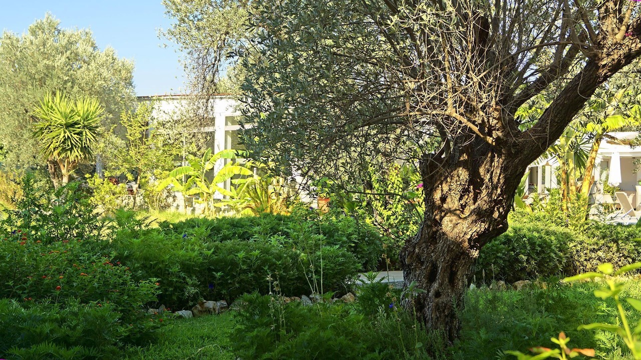 Photo of Bedroom in Archangelos