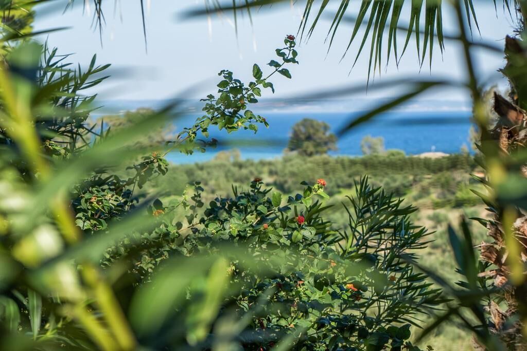 Photo of Outdoor in Vasilikos