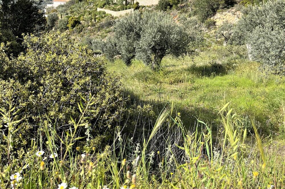Photo of Outdoor in Kranidi