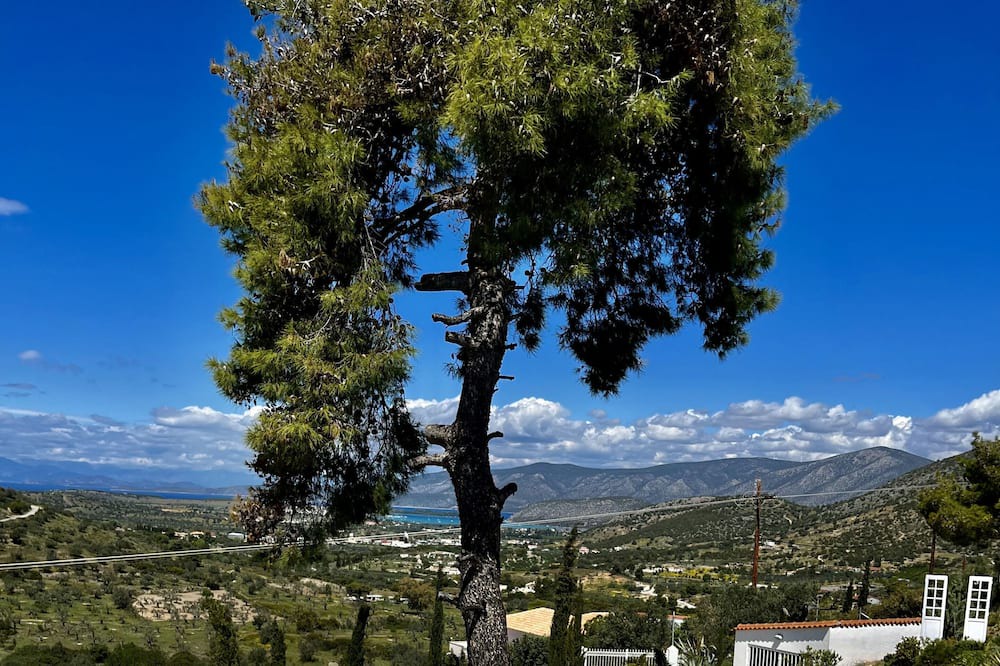 Photo of Outdoor in Kranidi