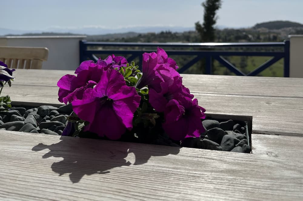 Photo of Outdoor in Kranidi
