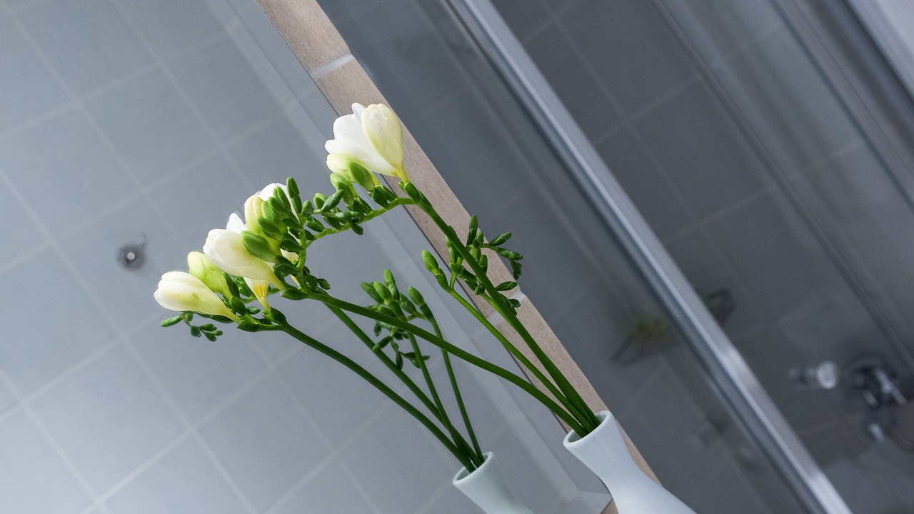 Photo of Bathroom in Kavala