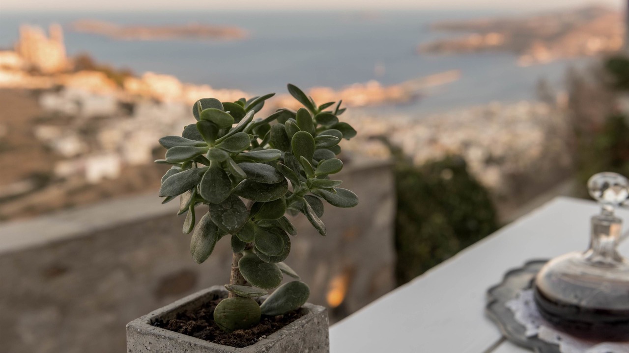 Photo of Others in Ano Siros
