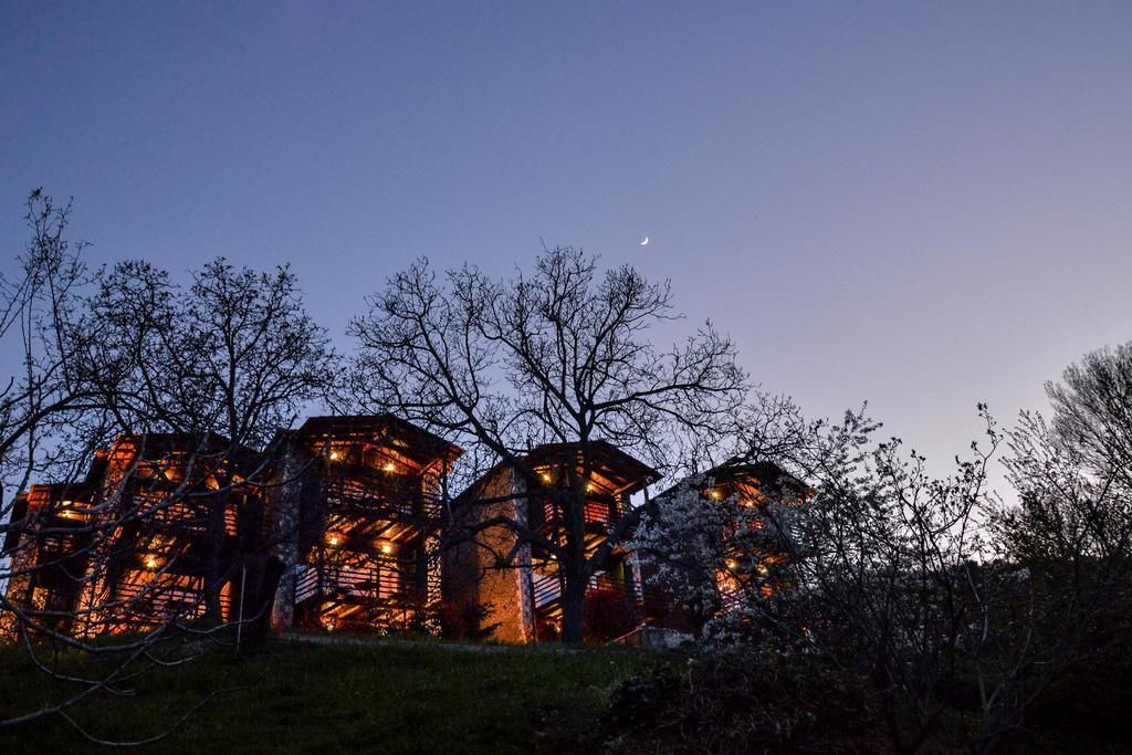 Photo of Outdoor in Mesaia Trikala