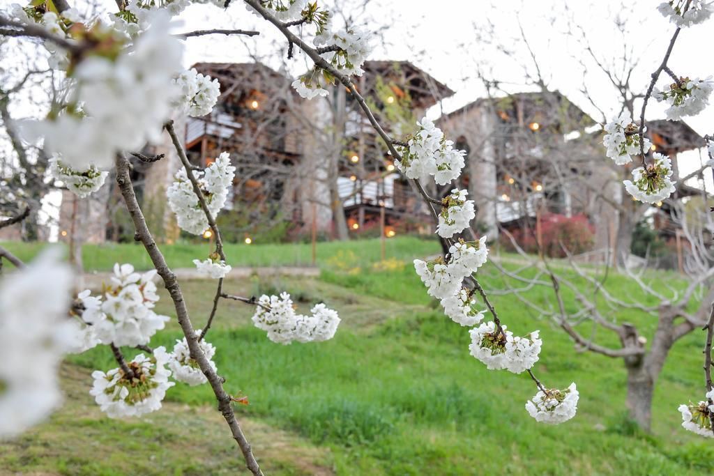 Photo of Outdoor in Mesaia Trikala