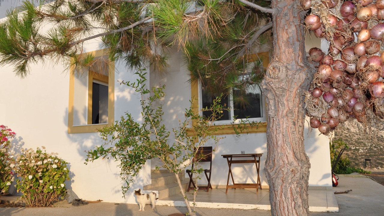 Photo of Others in Lefkos