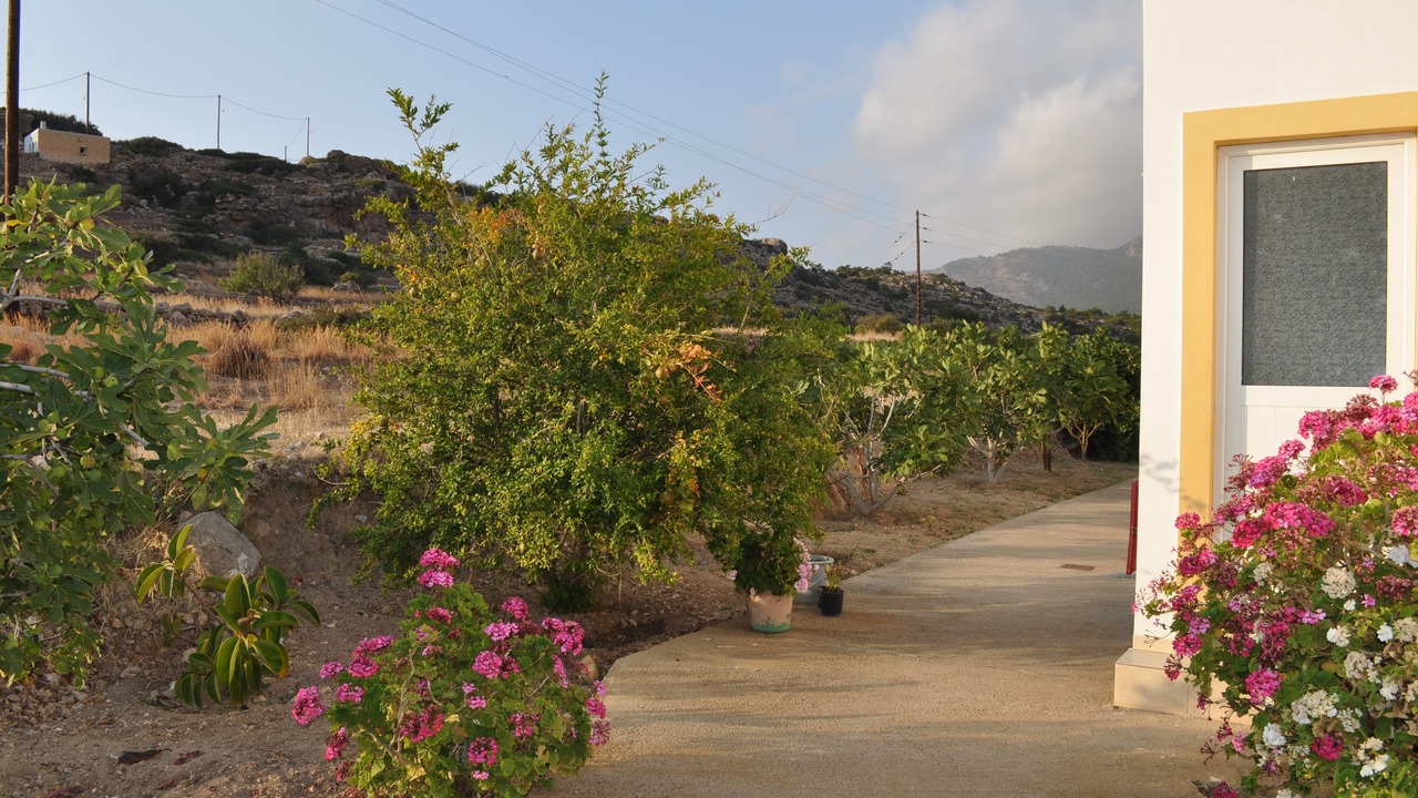 Photo of Outdoor in Lefkos
