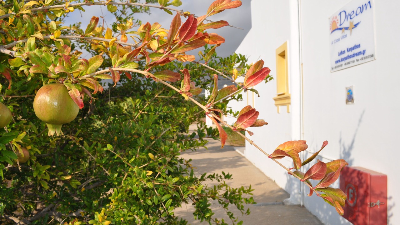 Photo of Outdoor in Lefkos