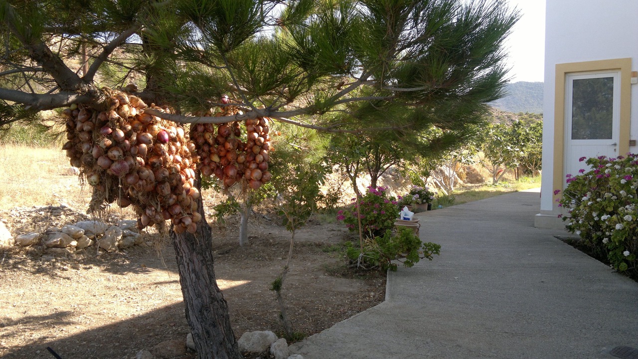 Photo of Outdoor in Lefkos