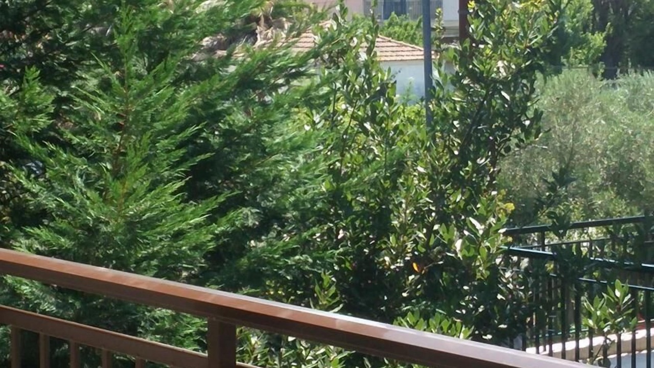 Photo of Patio Balcony in Olympiada