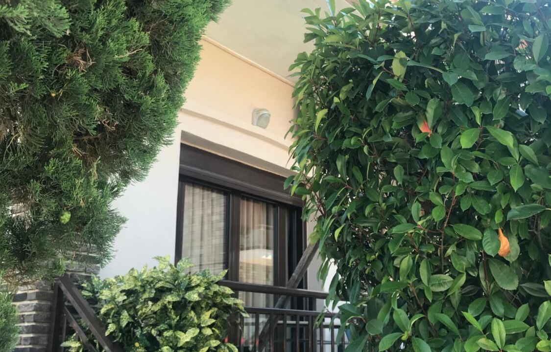 Photo of Outdoor in Olympiada