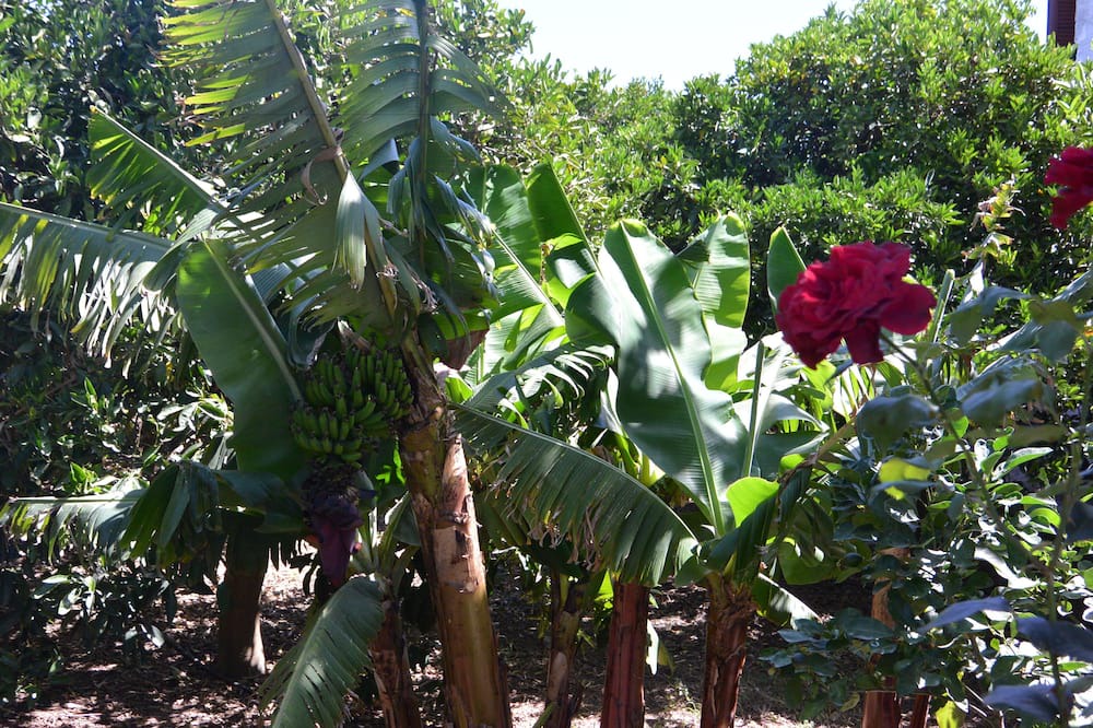 Photo of Outdoor in Alikianos