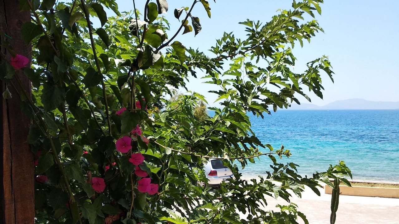 Photo of Outdoor in Paleros