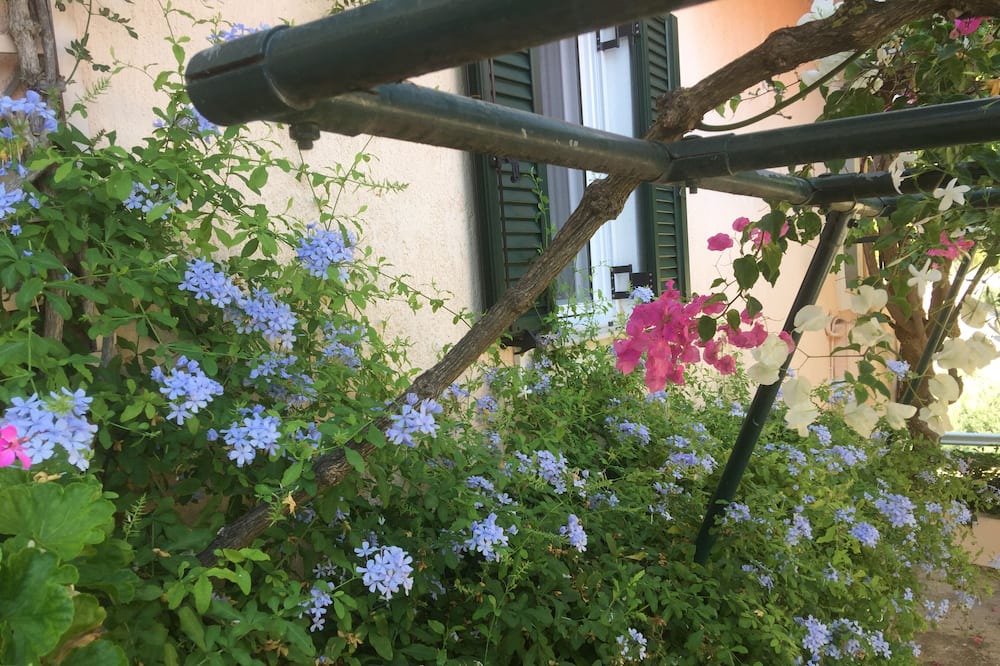 Photo of Outdoor in Minia