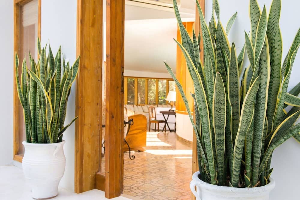 Photo of Bedroom in Ialyssos