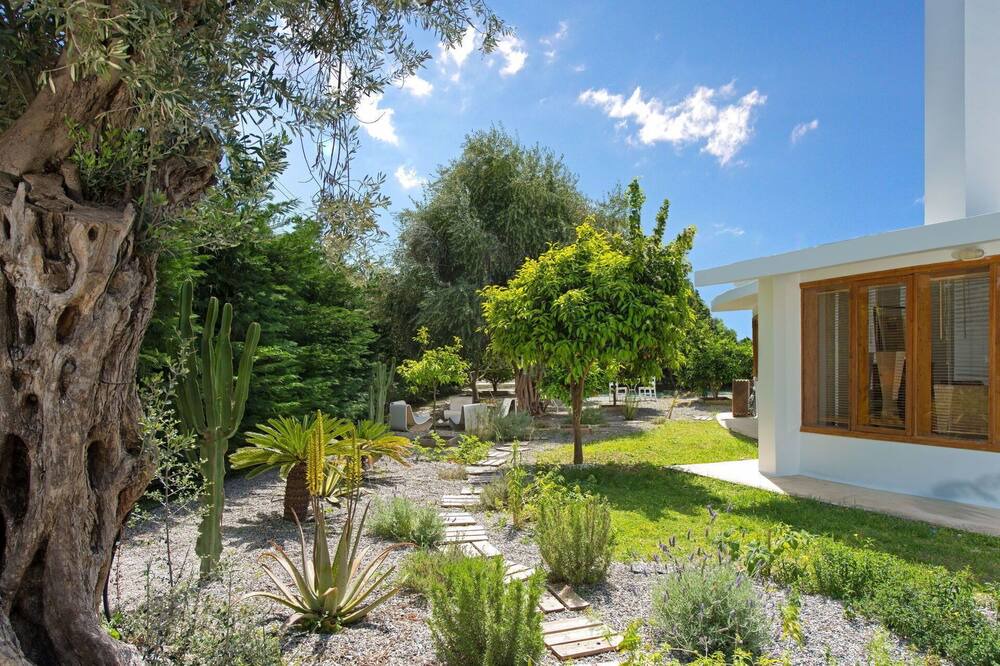 Photo of Outdoor in Ialyssos