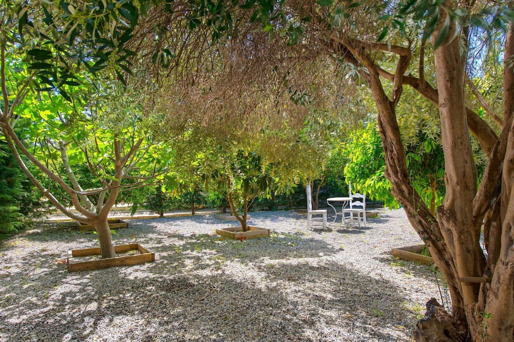 Photo of Others in Ialyssos