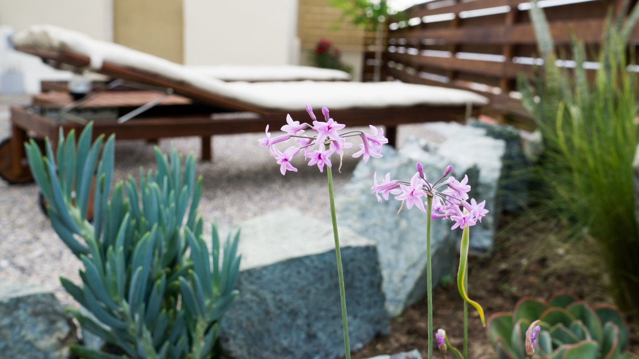 Photo of Outdoor in Fanai