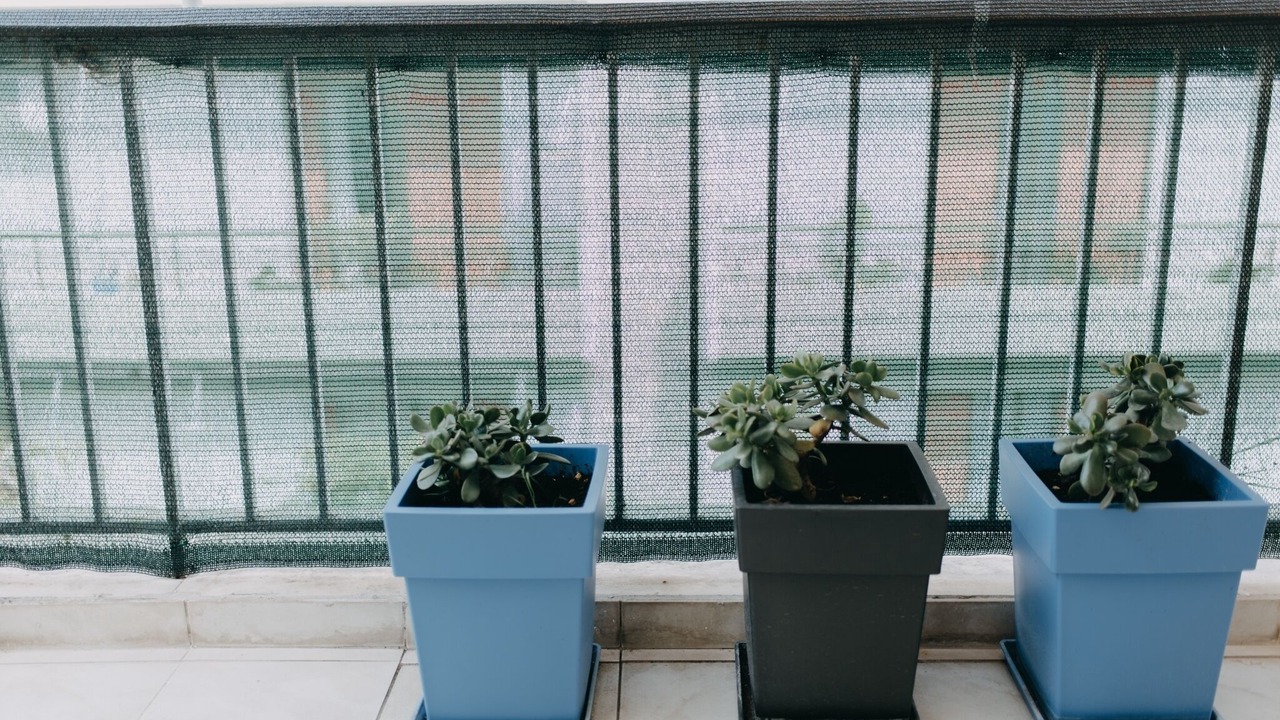 Photo of Patio Balcony in Zavlani