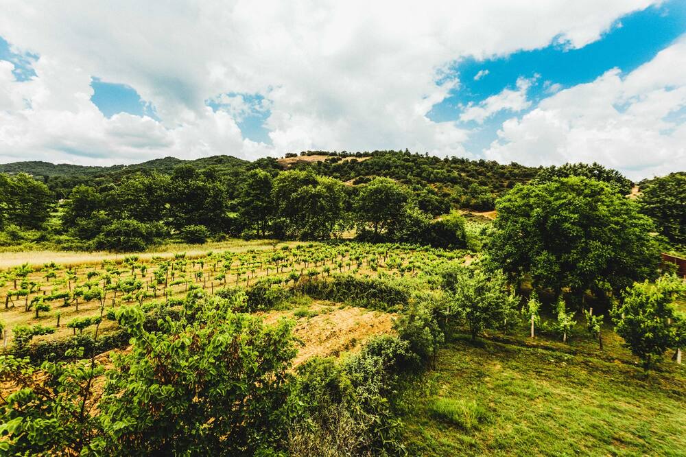 Photo of Outdoor in Diava