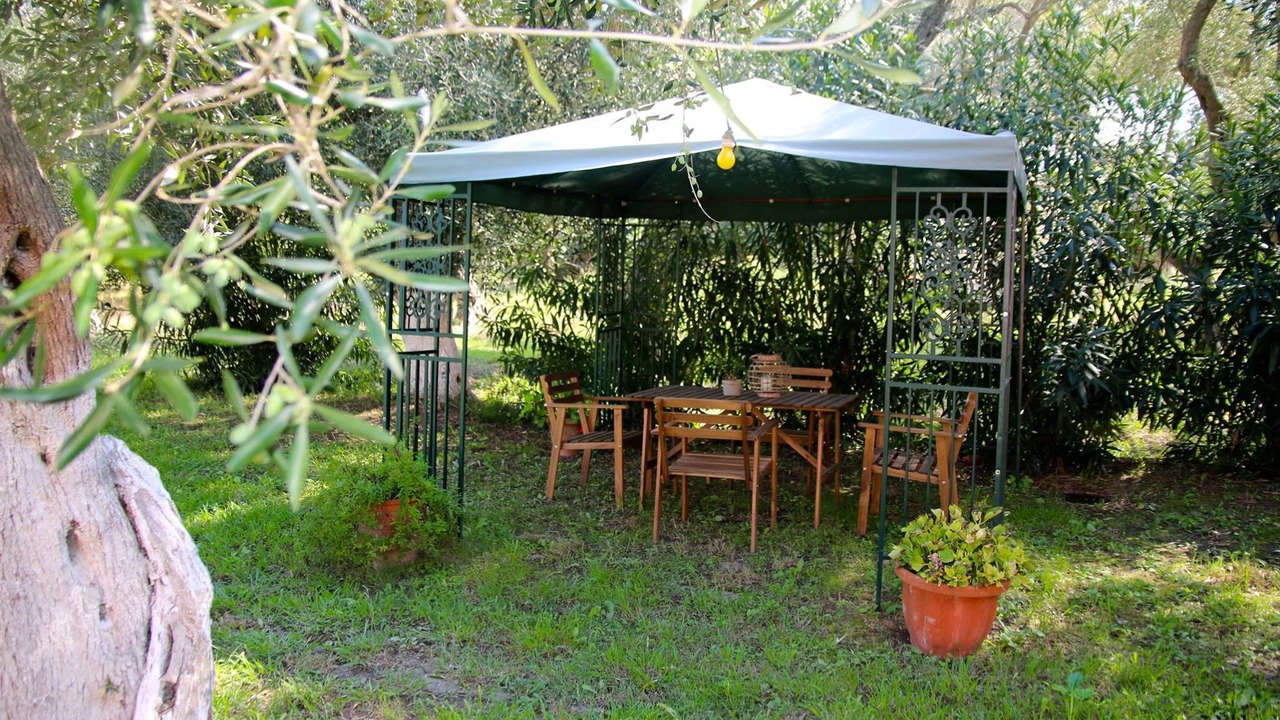 Photo of Outdoor in Notos