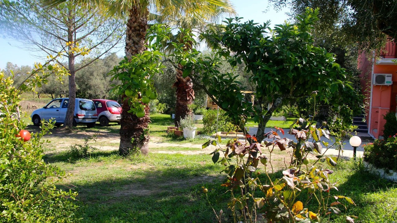 Photo of Outdoor in Notos