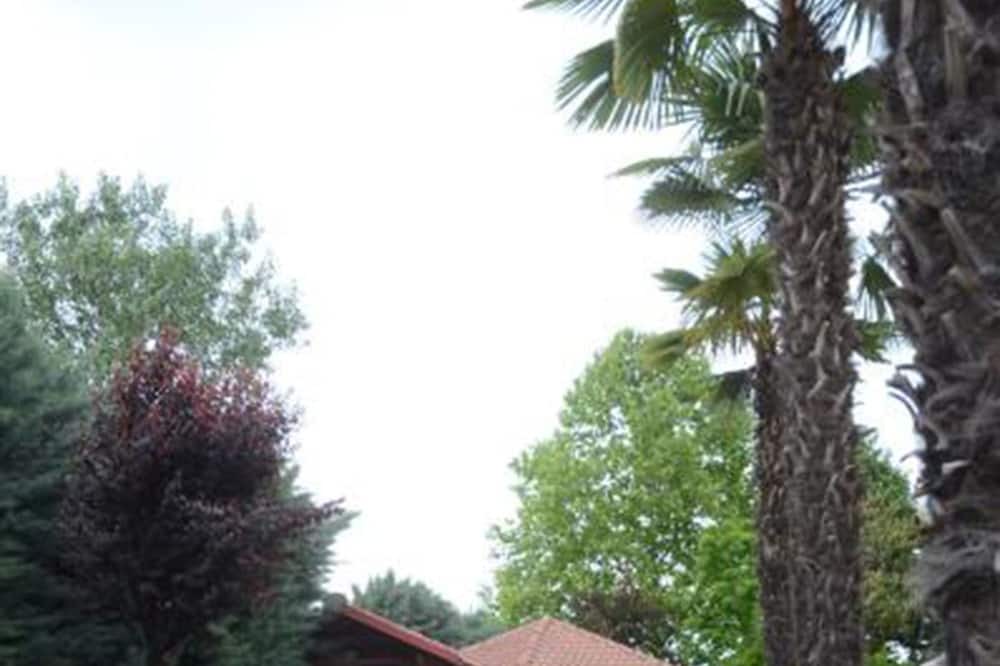 Photo of Outdoor in Katerini