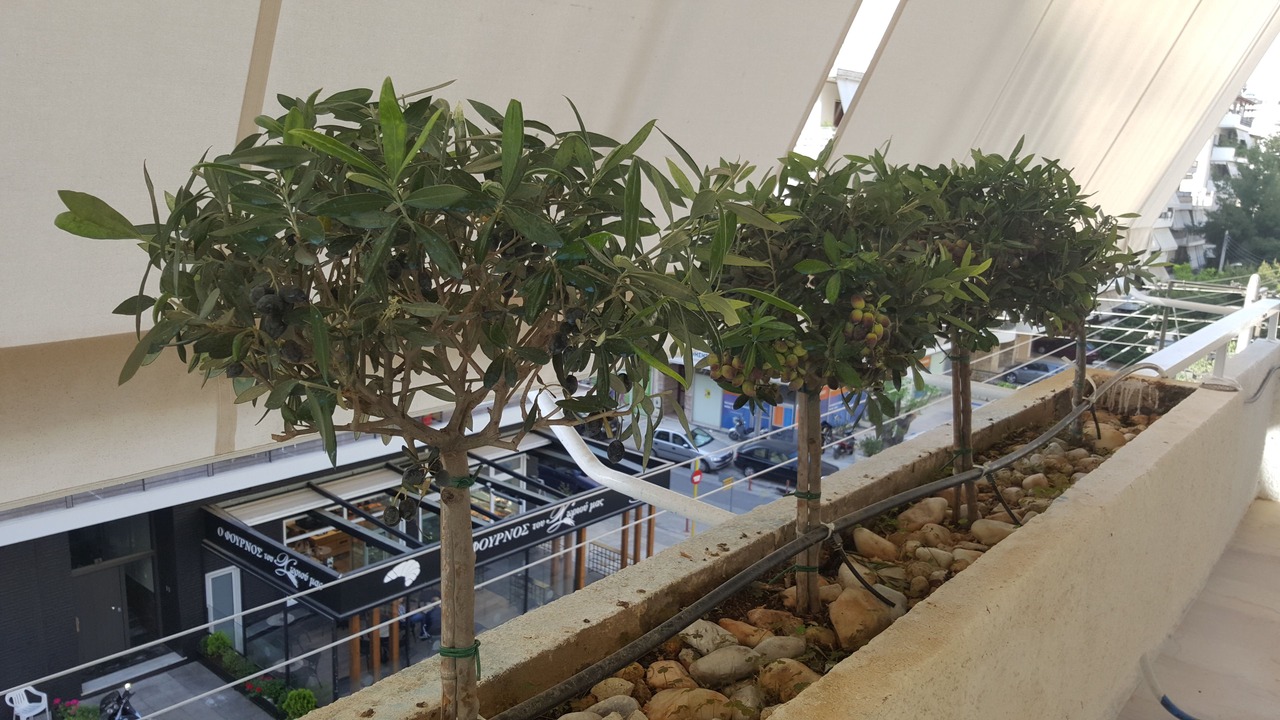 Photo of Patio Balcony in Nea Smirni