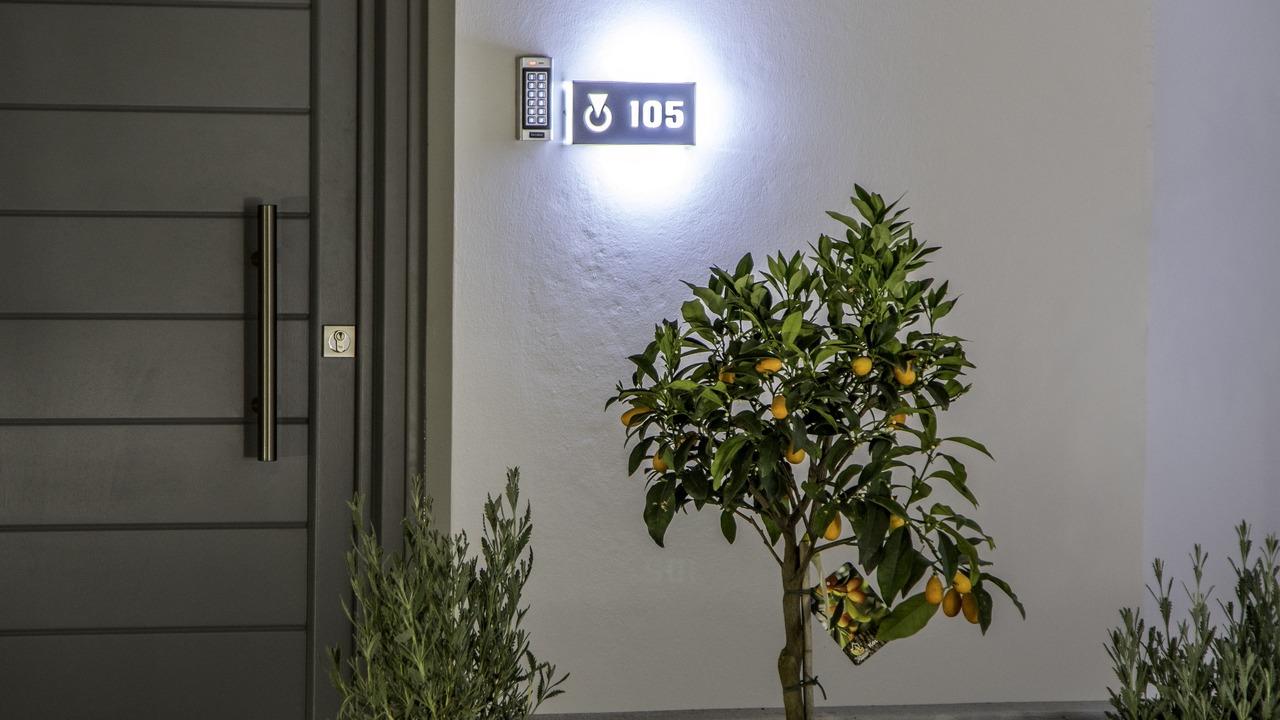 Photo of Outdoor in Kini