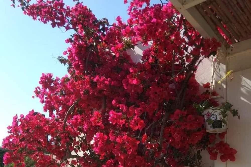 Photo of Outdoor in Alinda