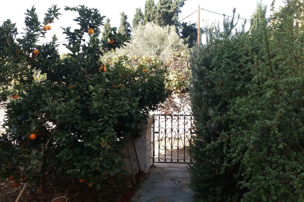 Photo of Outdoor in Panormos