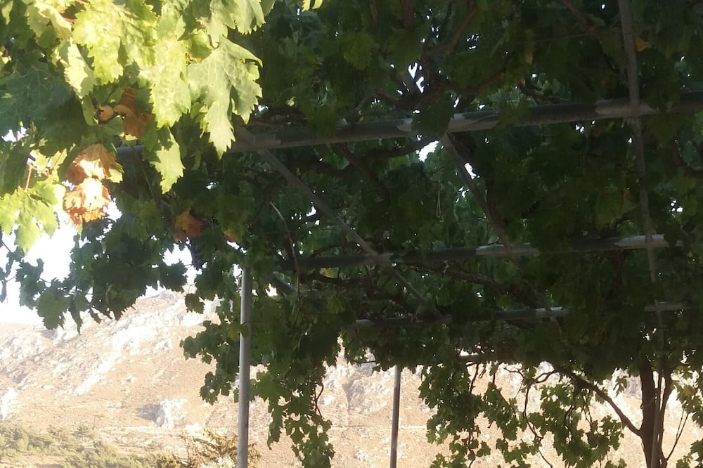 Photo of Outdoor in Panormos