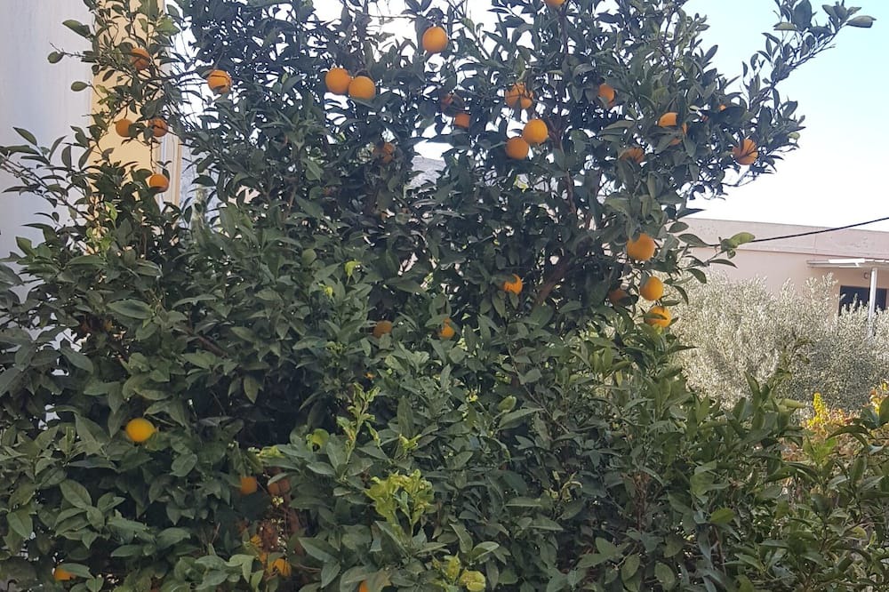 Photo of Outdoor in Panormos