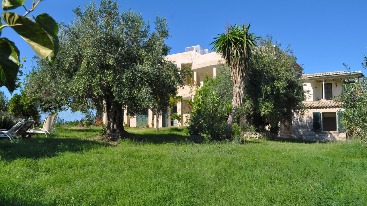 Photo of Outdoor in Pelekas