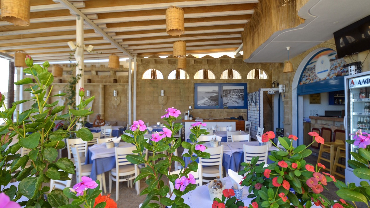 Photo of Others in Stegna
