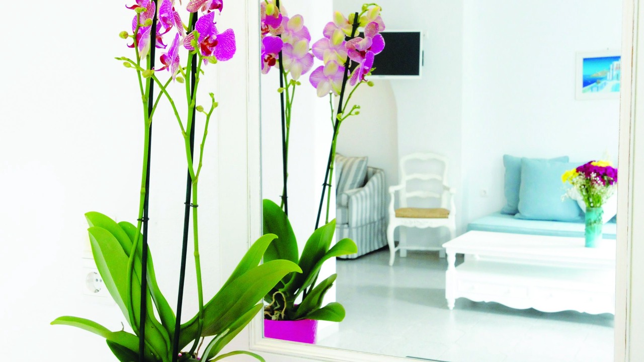 Photo of Outdoor in Platis Gialos