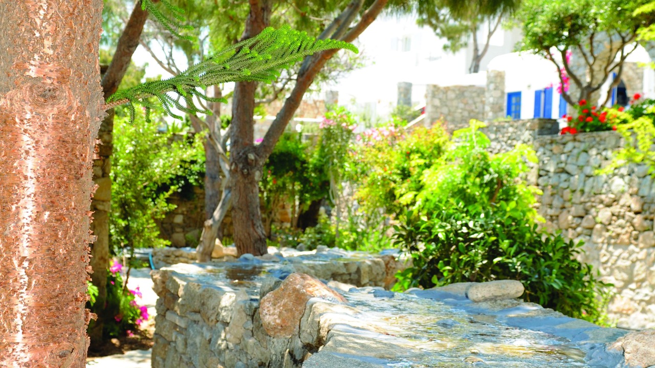Photo of Others in Platis Gialos