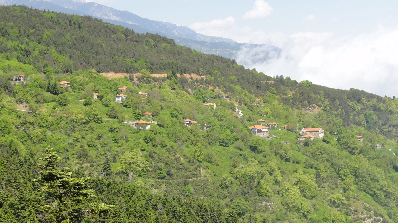 Photo of Outdoor in Skotina