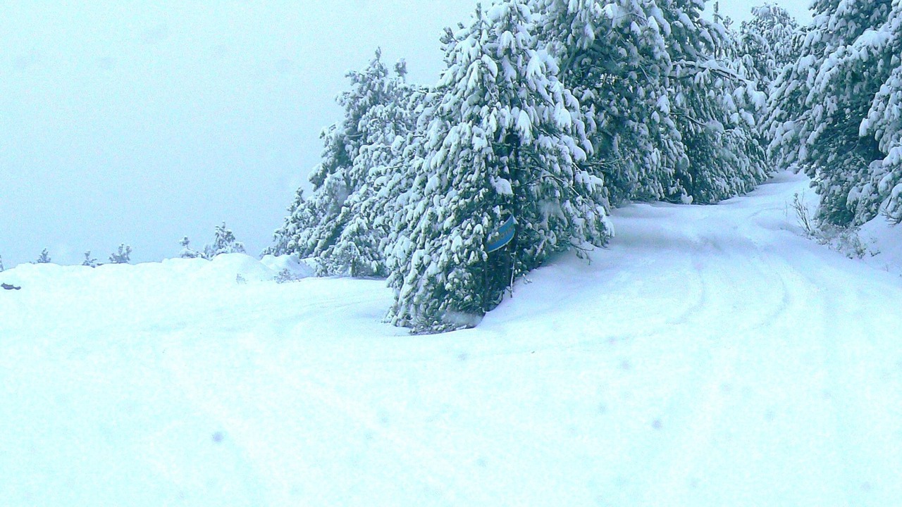 Photo of Outdoor in Skotina