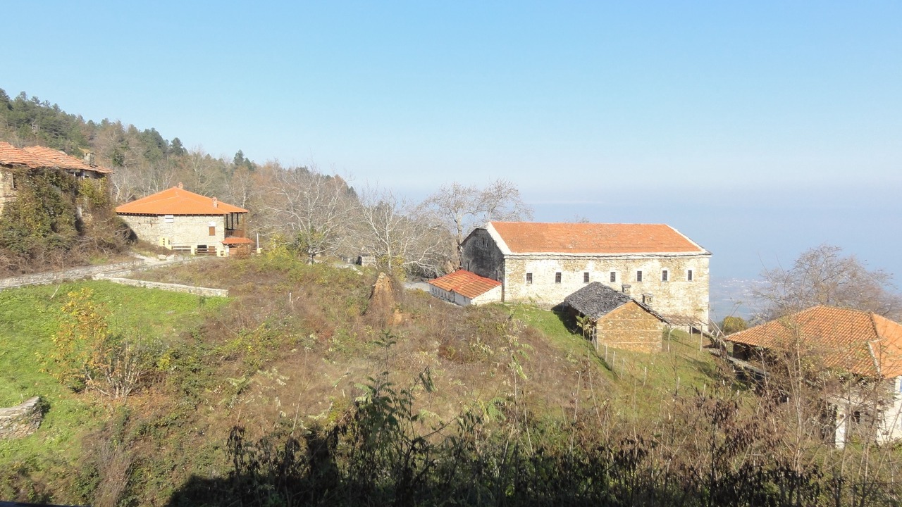 Photo of Others in Skotina